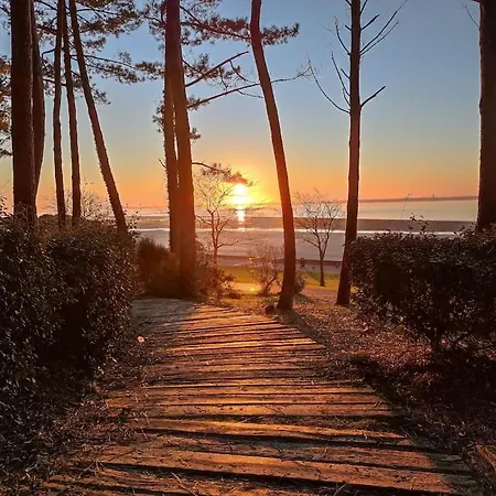 Maison Vue Sur Le Bassin, Proche Du Centre Arcachon